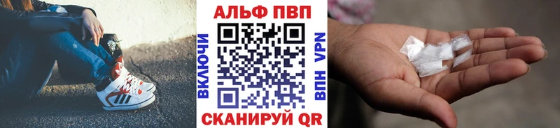 A-PVP СК  Полярные Зори 