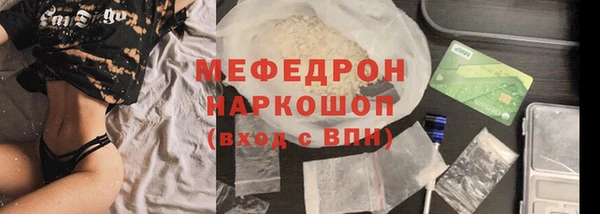 хмурый Аркадак