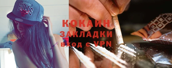 хмурый Аркадак