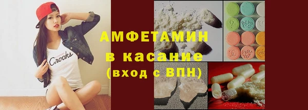 хмурый Аркадак