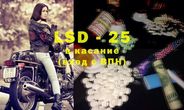 хмурый Аркадак