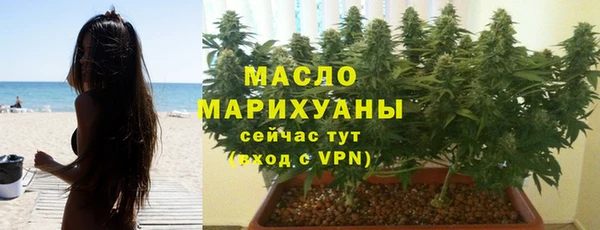 хмурый Аркадак