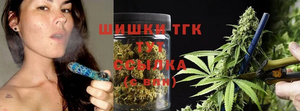 хмурый Аркадак