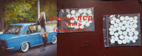 хмурый Аркадак